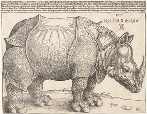  de Albrecht Dürer