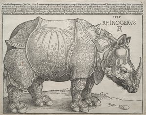 El Rinoceronte, 1515 de Albrecht Dürer