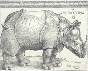 El rinoceronte de Albrecht Dürer