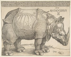 El rinoceronte de Albrecht Dürer