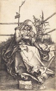 La Virgen y el Niño en un banco de hierba, 1503 de Albrecht Dürer