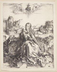 La Virgen con la libélula de Albrecht Dürer