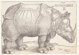 El rinoceronte de Albrecht Dürer