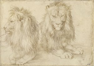 Dos leones sentados de Albrecht Dürer