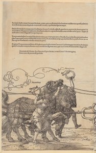  de Albrecht Dürer