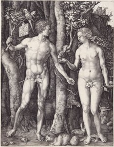 Adán y Eva, pub. 1504 de Albrecht Dürer