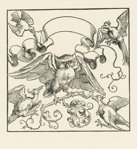 Un búho atacado por otros cuatro pájaros, c.1515 (xilografía) de Albrecht Dürer or Duerer