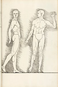 Xilografía anatómica de Hierinn sind begriffen vier bücher von menschlicher Proportion, 1528