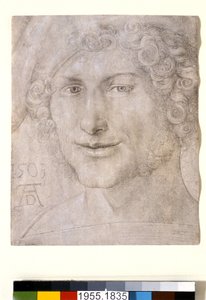 Cabeza de un joven, 1503