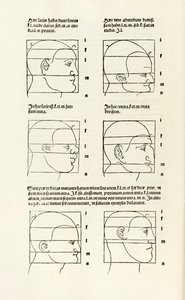 Proporciones de la cabeza humana de 