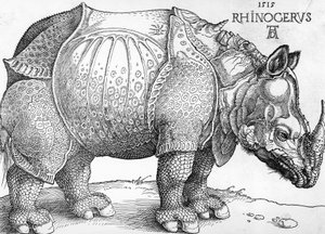 Rinoceronte de Albrecht Dürer
