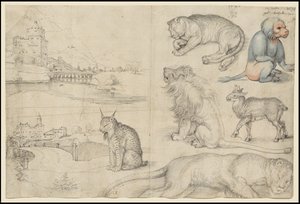 Bocetos de animales y paisajes de Albrecht Dürer