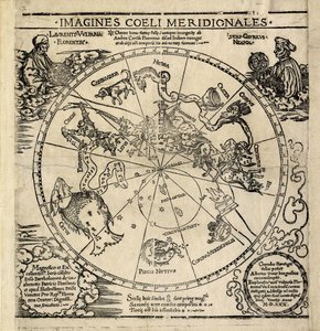  de Albrecht Dürer or Duerer