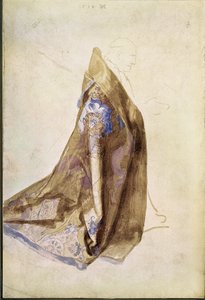 Estudio para el manto del Papa Julio II para La Virgen de la corona de rosas de Albrecht Dürer or Duerer