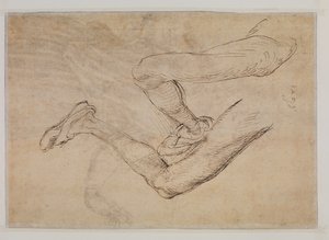 Estudio de una pierna izquierda desde dos puntos de vista de Albrecht Dürer