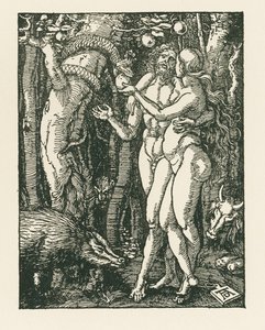 La caída del hombre, c.1510 (xilografía) de Albrecht Dürer or Duerer
