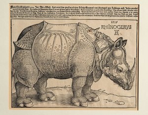 El Rinoceronte de Albrecht Dürer or Duerer
