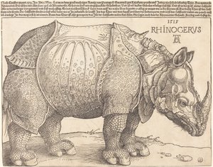 El Rinoceronte de Albrecht Dürer