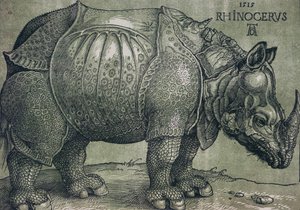 El rinoceronte, 1515 de Albrecht Dürer