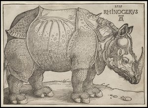 El rinoceronte, 1515 de Albrecht Dürer