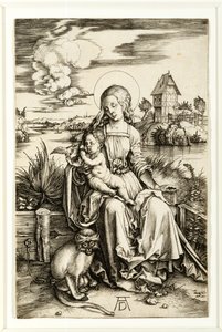 Virgen y Niño con Mono de Albrecht Dürer