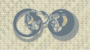 Resumen: Infinito felino de Alejandra Winkhaus