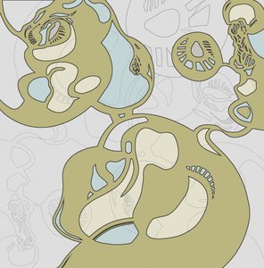 Formas orgánicas fluidas de Alejandra Winkhaus