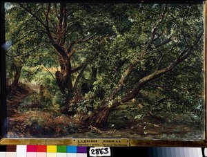 ""Los árboles del río"" Pintura de Alexander Ivanov (1806-1858) 1837 Museo Estatal Ruso, San Petersburgo de Aleksandr Andreevich Ivanov
