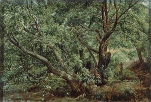 Árboles junto a un arroyo de Aleksandr Andreevich Ivanov