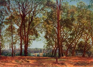 En el Parque Aricci, 1830s, 1965 de Aleksandr Ivanov