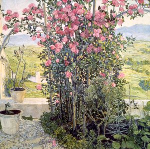 El valle en Umbría, 1910s de Aleksandr Jakovlevic Golovin