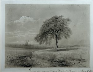 Paisaje con molino de viento de Alexei Kondratjewitsch Sawrassow