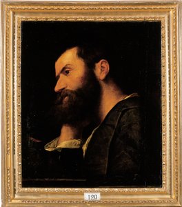 Retrato del poeta Pietro Aretino, busto, descansando su cabeza en su mano derecha junto a un borde con una planta