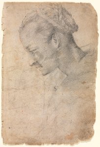 Perfil de la cabeza de una mujer (recto) de Alessandro Casolani