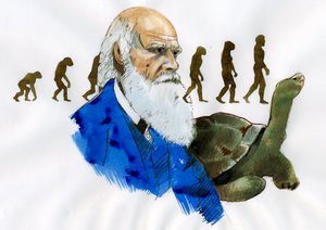 Retrato de Charles Darwin - Retrato del naturalista inglés Charles Darwin (1809-1882) Ilustración