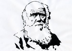 Retrato de Charles Darwin - Retrato del naturalista inglés Charles Darwin (1809-1882) Ilustración de Alessandro Lonati