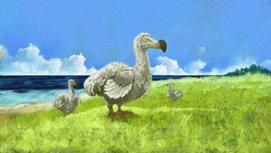 Representación del ave extinta dodo (ilustración) de Alessandro Lonati