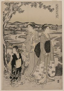 Omu el Loro (de la serie Siete Episodios Elegantes de la Vida de la Poetisa Ono no Komachi) de Alessandro Magnasco