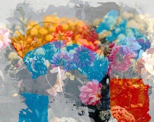 Arcoíris, 2019 de Alex Caminker