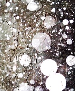 Nieve, 2019 de Alex Caminker