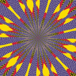 Girasol, 2019 de Alex Caminker
