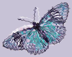 Mariposa 7 de Alex Caminker