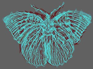 Mariposa 8, 2020