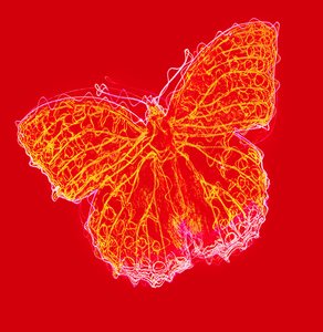 Mariposa III, 2020