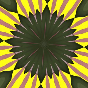 Girasol de Alex Caminker