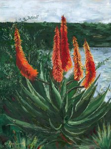 El vibrante lago Aloe de Alex Cornell