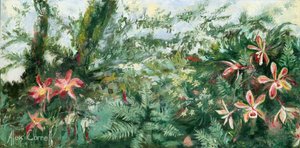 Orquídeas tropicales de colores vivos de Alex Cornell