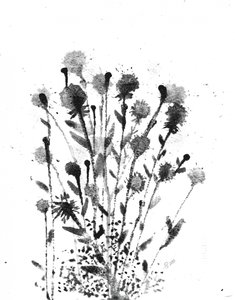 Resumen: «Ink Blooms» de Alex Walsh