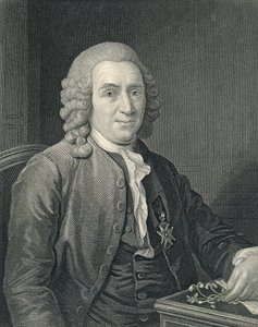 Retrato de Carolus Linnaeus de Alexander (after) Roslin
