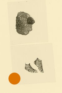 Pie de cabeza de Alexander Adiels